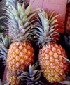 Pineapple Pineapple
