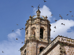 Templo_san_francisco