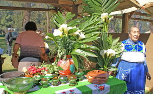 Doa_paula_alfaro_aguilar Doa_paula_alfaro_aguilar