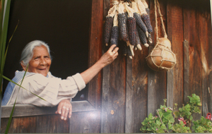 En_la_troje En_la_troje