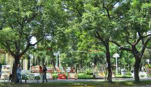 Glorieta_chapalita Glorieta_chapalita