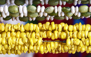 Stripes_8_san_cristbal_collares_2 Stripes_8_san_cristbal_collares_2