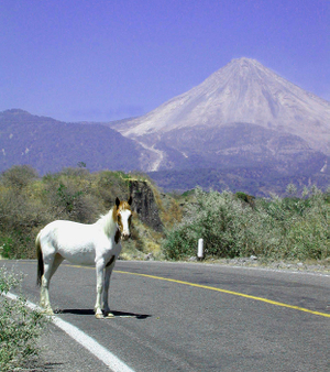Volcano_and_horse_2 Volcano_and_horse_2
