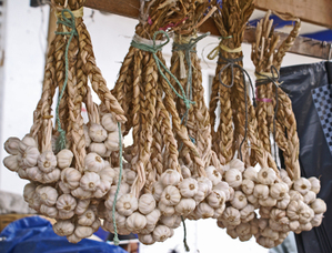 Ajo_en_ristras Ajo_en_ristras