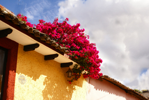 Casa_san_cristbal Casa_san_cristbal