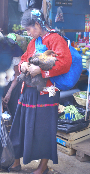 Woman_with_chicken Woman_with_chicken