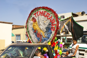 Torito_de_petate_2_camion