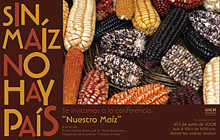 Sin Maíz No Hay País