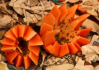 Papaya