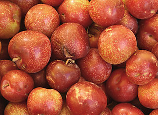 Plums