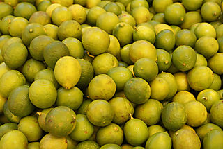 Limón Criollo