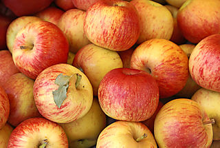 Manzana