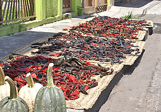 Queréndaro la Calle Principal
