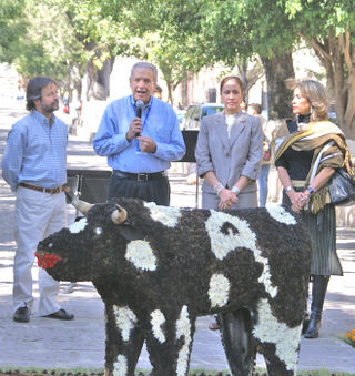 Argentino, Bernal, MOA, etc