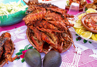 Langosta de la Costa