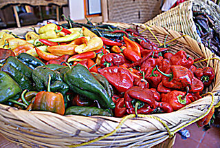 Chiles Multicolores