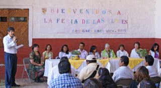 Apertura Flores Erongaricuaro