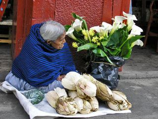 Viejita con Flores