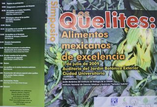 Quelites Poster MC 1