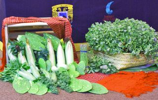 Quelites Stage Display MC 3