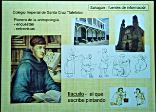 Quelites Codice MC 4