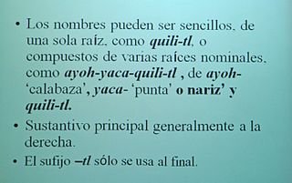 Quelites Nombres Karen Dakin MC 7