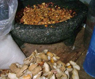 Peanut Salsa 2, Cactu