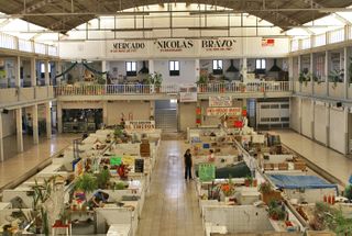 Mercado Nicolás Bravo