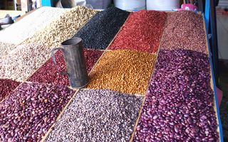 San Cristóbal Beans