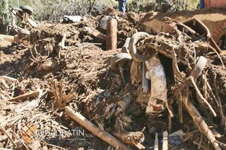 Angangueo Devastation