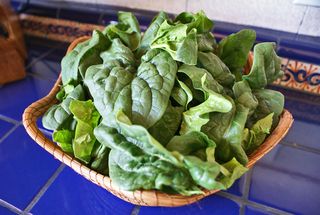 Espinacas