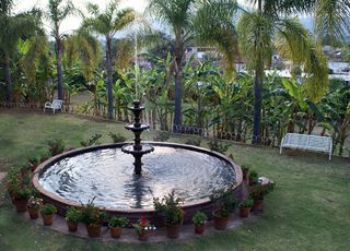 Blanca con Vista al Jardín