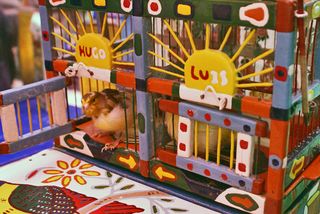 Pichátaro Pajaritos de la Suerte 1