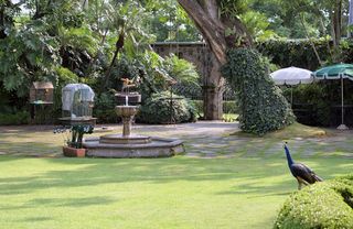 Las Mañanitas Vista al Jardín