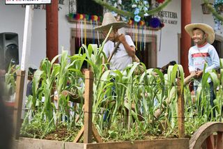Sta Clara Carro Alegórico 2 Milpa