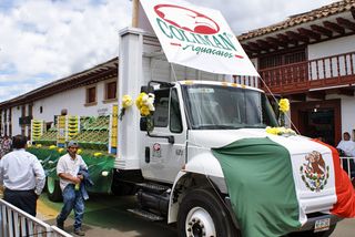 Sta Clara Aguacate Coliman