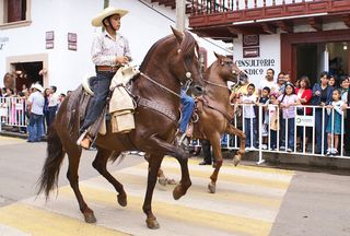 Sta Clara Dos Caballos con Niños