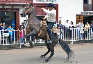 Sta Clara Caballo Bailando