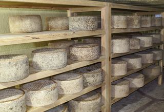 Queso Cava Shelves to use