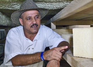 Queso Esteban Pointing