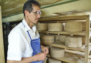 Queso José Luis con Quesos