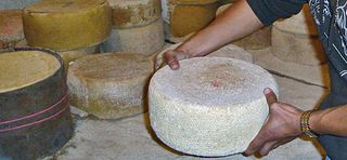 Queso Cotija Queso Cotija