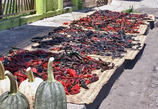 UNESCO Chiles en el Sol UNESCO Chiles en el Sol