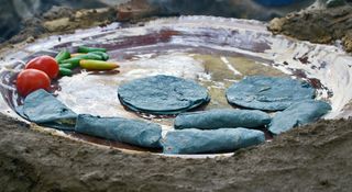 UNESCO Blue Corn Tortillas on Comal UNESCO Blue Corn Tortillas on Comal