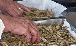 UNESCO Charales y Manos de Alicia 2005 UNESCO Charales y Manos de Alicia 2005