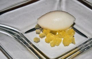 JASO Helado de Guanabana Tony JASO Helado de Guanabana Tony