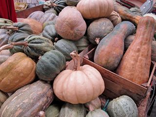 Mercado San Juan Calabazas