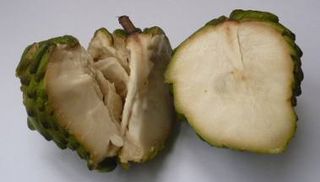 Chirimoya ripe open Chirimoya ripe open