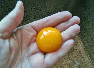 Flan Separate Egg Flan Separate Egg