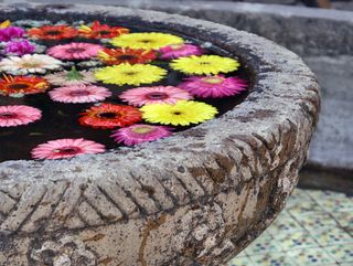 Saturday 2 Fuente con Flores